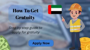 How To Get Gratuity In UAE | Apply For Gratuity 2026 6 How to get gratuity in UAE 2025 using online application